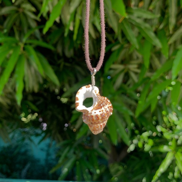 Sea tumbled shell necklace - Picture 4 of 4